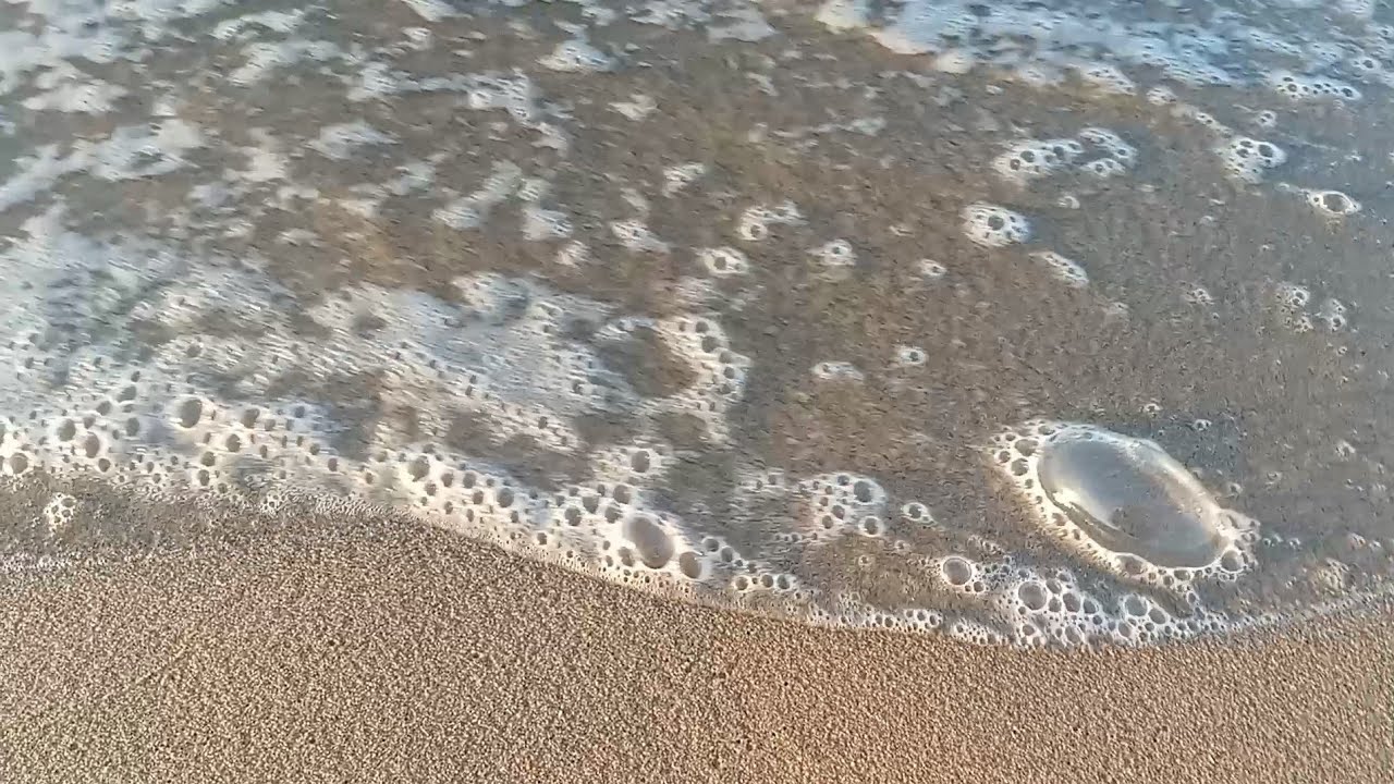 عدنا والعود أحمد منورين إسم إسم الصديق وقت الضيق