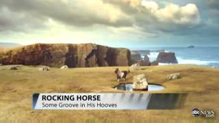 Moon-Walking Pony Dances Across Internet THIS IS a must see!!