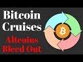 Another Bitcoin (Bull)/Altcoin (Bear) Cycle in the Works?