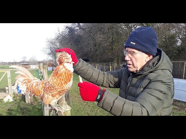 Delivering Outdoor Experiences for People Living with Dementia