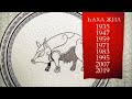 Һаха җил (год Свиньи) Астрологический прогноз на 2024 год