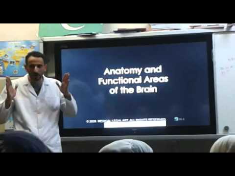 مدارس ابن رشد