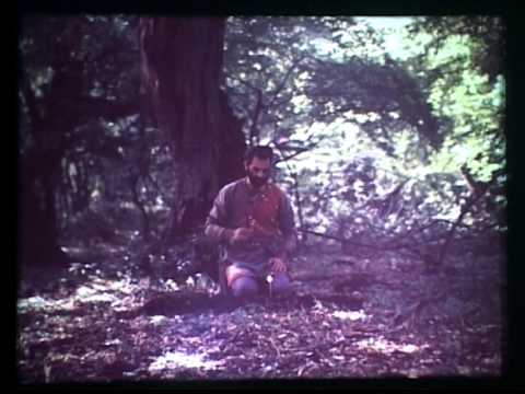 ხოგაის მინდი ( ეთნოგრაფიული ეტიუდები)