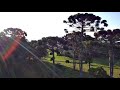 Voando como as Aves - Fazenda Rio Grande, Paraná