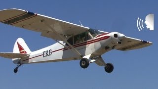 Healthy Bastards Bush Pilot Champs - In Review