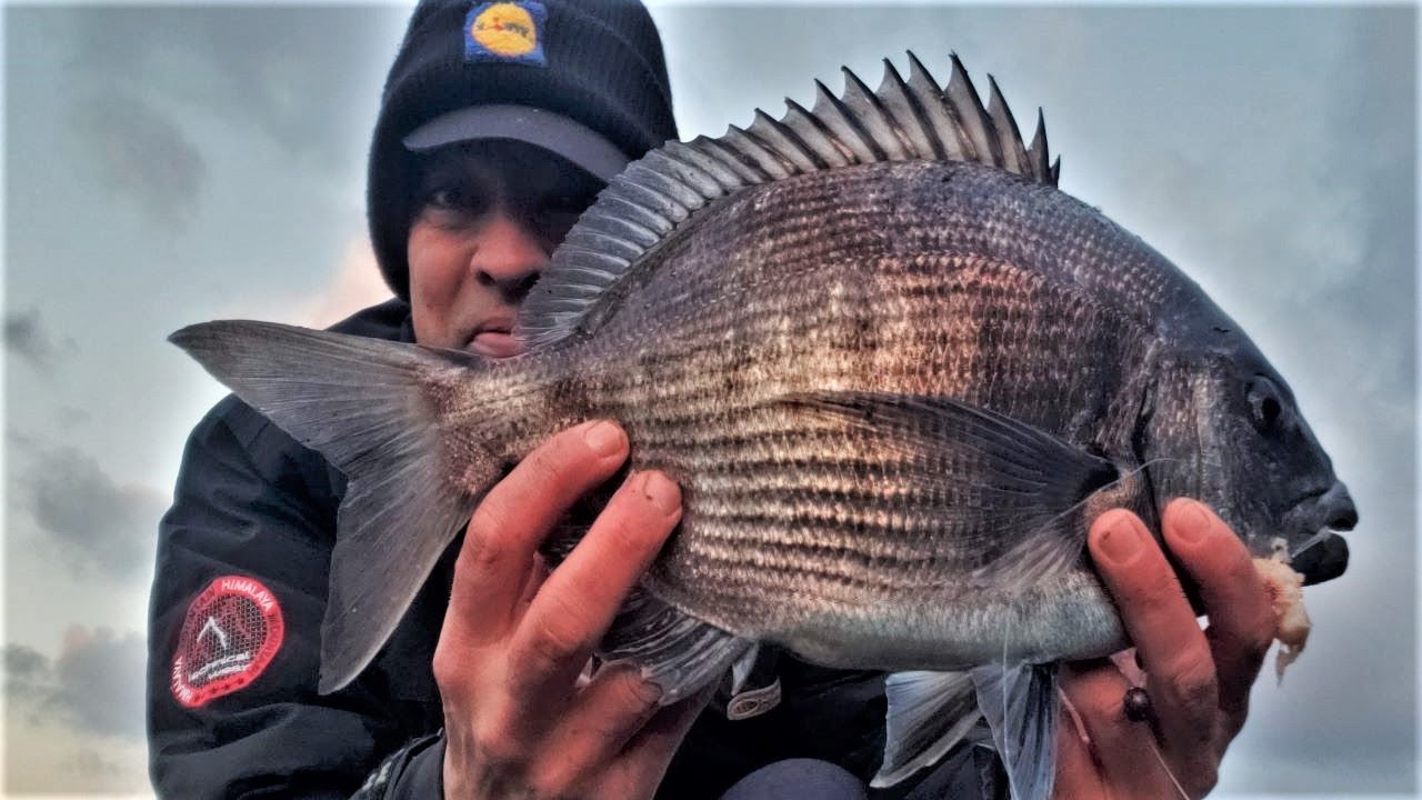 La pêche au filet : Technique de pêche au filet | Pavillon France