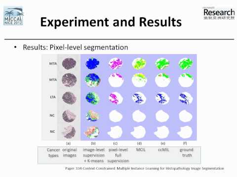 Context-Constrained Multiple Instance Learning for Histopath