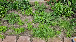 What a MESS? Gardening Chores - Shopping for Plants & Cleaning Up the Flower Beds