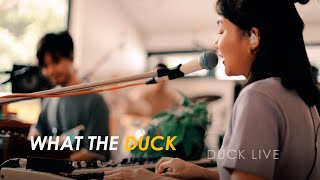Duck Live 102 - ฮัม (hum) - Plastic Plastic