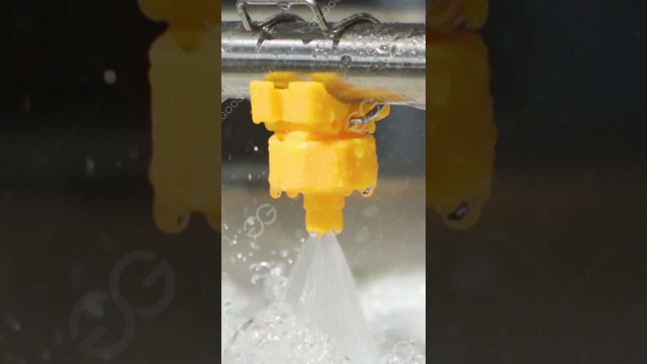 Commercial Tomato Washing Machine, Clean Vegetable Processing Machinery