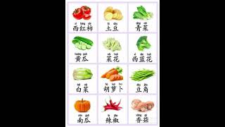 learn Chinese Vegetable 🍆蔬菜 រៀនភាសាចិន បន្លែ