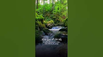 تلاوة خاشعة للقارئ اسلام صبحي.                    #القرآن_الكريم #اكسبلور #المصحف #راحة_نفسية #fyp