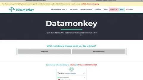 How to Use Contrast-FEL on DataMonkey