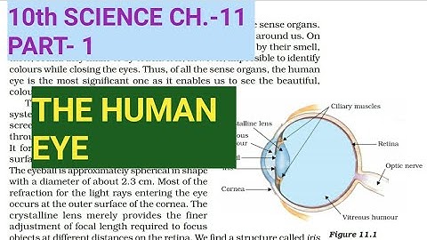 10th Science Ch.-11||Part-1||The HUMAN EYE||Study with Farru