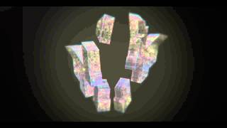Wout - Personal Intro