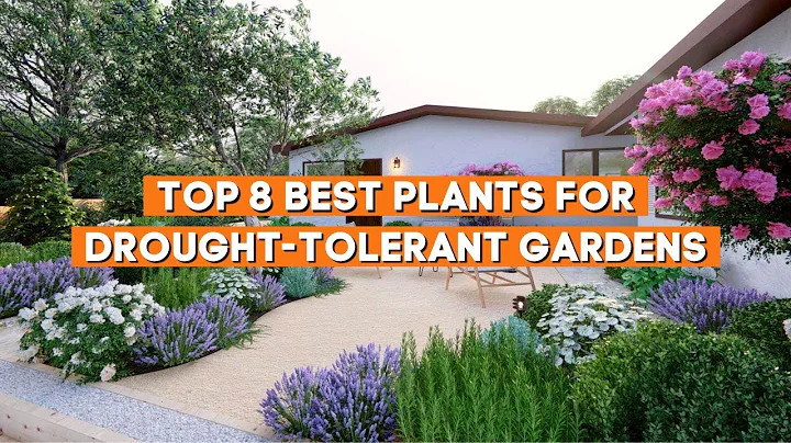 Top 8 Best Plants for Drought Tolerant Gardens ☀️✨ // PlantDo Home & Garden - DayDayNews