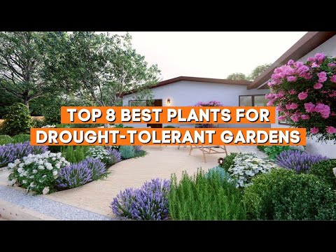 Vidéo: Cold Hardy Xeric Plants - Choisir des plantes Xeriscape pour les jardins de la zone 5