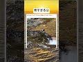 これ大丈夫なの?#short#reel#恐怖映像