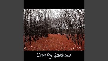 Two Characters in Search of a Country Song