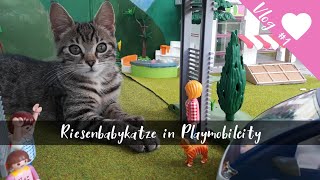 Babykatze in Playmobil-City//#6//Kinderfilm deutsch//Familie Bäcker