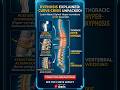 *Kyphosis* is when your upper spine curves forward too much, giving you a rounded or "hunched" back