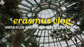 Visita a los Invernaderos Reales de Laeken