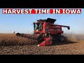 HARVEST 2020 HAS BEGUN