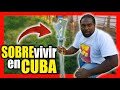 🔥 DESAPARECIDA la CARNE de CERDO en Cuba!!! 🇨🇺 HOY se come BISTEC sin CROQUETAS!!!! 🐖