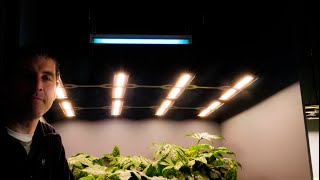 How to use UVB with LED grow lights