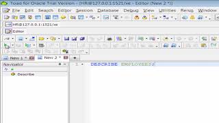 Oracle Describe