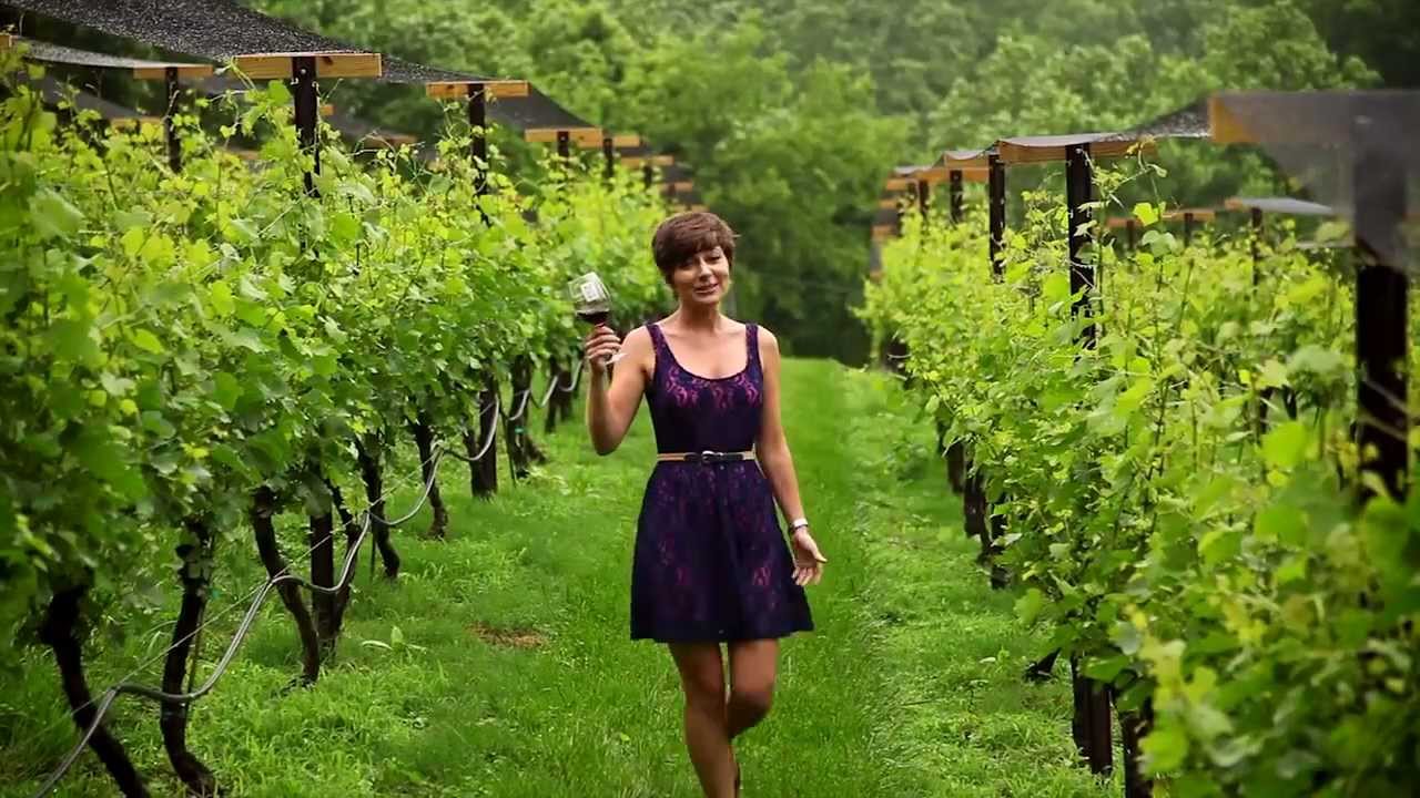 Travel North Carolina: Wine Country