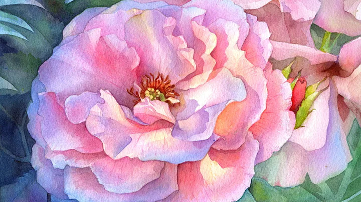 Evening Light Rose  Advanced Watercolor Tutorial