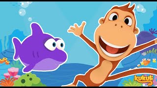 Kukuli Köpüş Balığı Bölümü - Kukuli Ve Babyshark Bir Arada - En Sevilen Kukuli Bölümleri