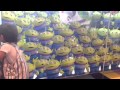 だいやくんとリトルグリーンメン