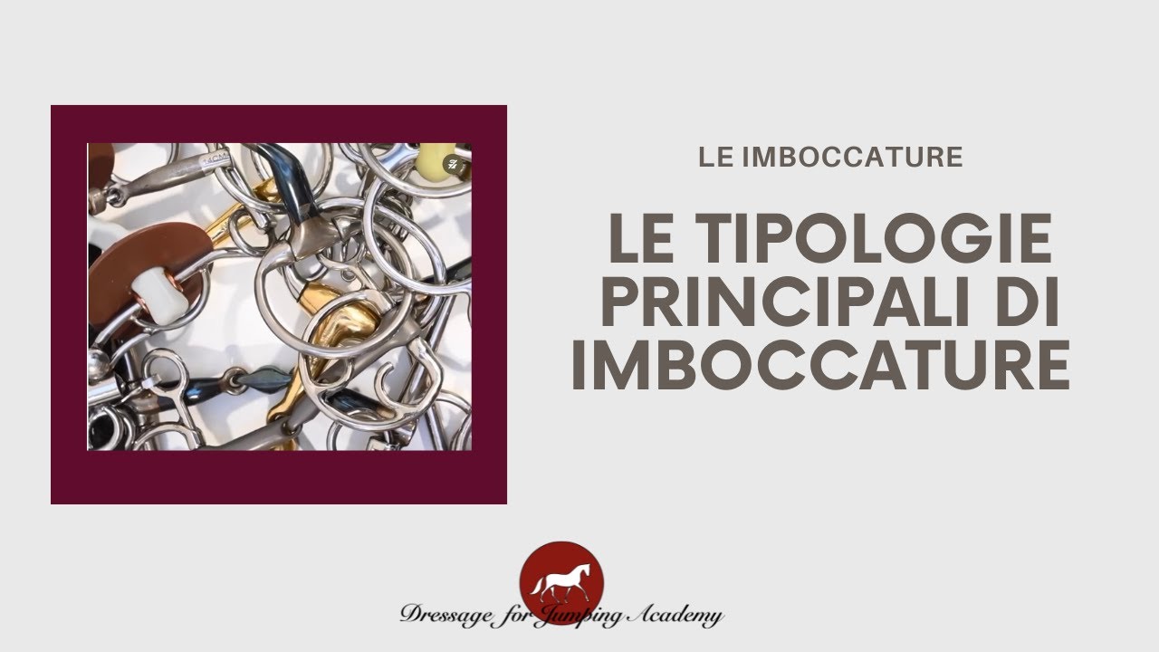 le imboccature nella monta inglese 