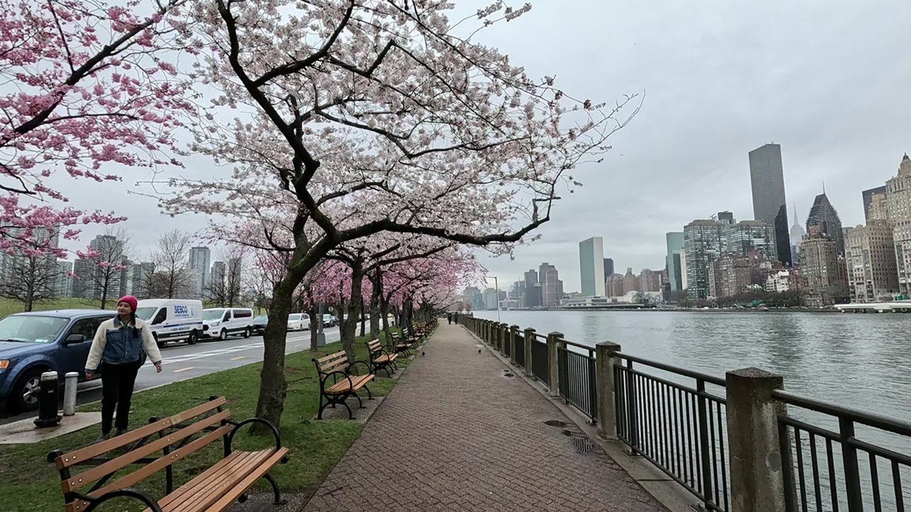 ⁴ᴷ⁶⁰ Walking NYC: Tour of Roosevelt Island