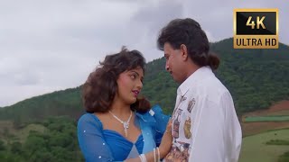 Hum Teri Mohabbat Mein | Phool Aur Angaar (1993)| Mithun Chakraborty | Cover Song By Neeraj Kumar
