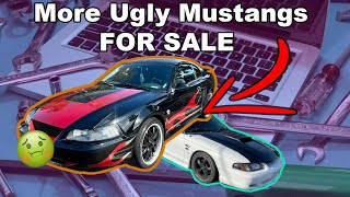 Ugly Mustangs of  Facebook Marketplace - Ricer Mustangs for Sale - New Edge and SN95 Mustangs
