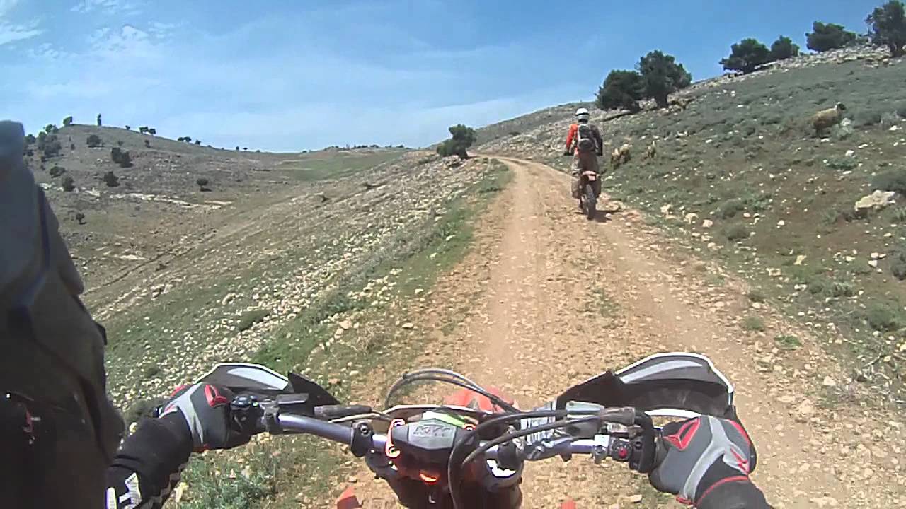 carbonated water Enduro - Nice easy flowing track with Kamikaze sheep