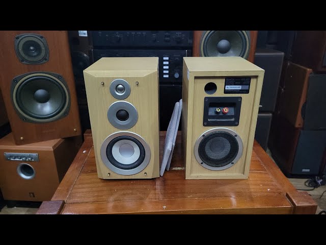 Denon USC M50 speakers with 2 bass drivers for great sound, priced