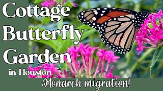 October 31, 2025 (POSTED LATE!) Cottage Butterfly Garden Tour in Houston TX zone 9b
