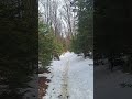 Walk through the forest, slow down, and clear your mind.