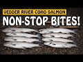 NON-STOP COHO SALMON BITES! A Great Day Float Fishing on the Vedder River | Fishing with Rod