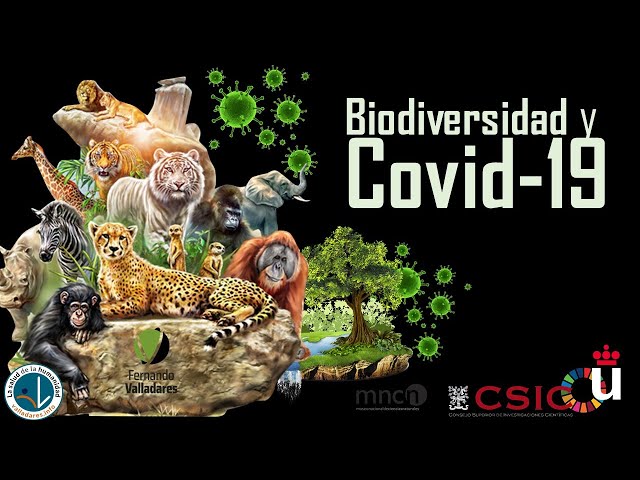 44  - Biodiversidad y covid 19 - Diapositivas narradas