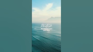 إن الذين قالوا ربنا الله ثم إستقاموا#سورة_فصلت #ناصر_القطامي