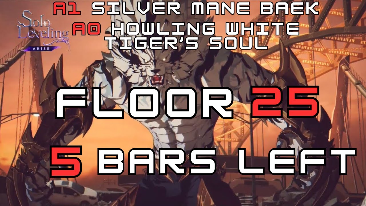 Silver Mane Baek Yoonho (A1) with A0 weapon Floor 25 Solo (44,520 Combat Power) x5 bars left