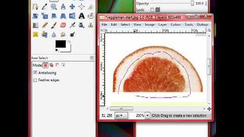 GIMP: How to use the free select tool.