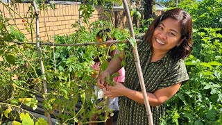 Our October Garden is Full! 🌱 | Spring in Southeast Queensland 🍅