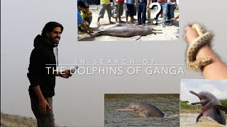 GANGA ki DOLPHIN'? | In search of  'NATIONAL ANIMAL'