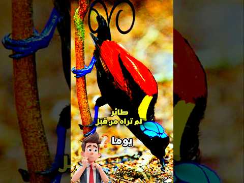 الطائر الذي ظن ه العلماء خيالا حتى شاهدوه